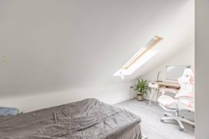 Photo 11- click for photo gallery